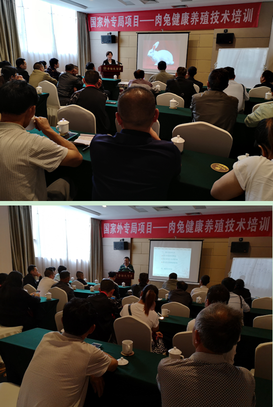 QQ圖片20190520095904.png