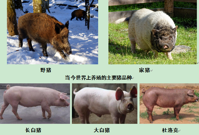 QQ圖片20200826160835.png