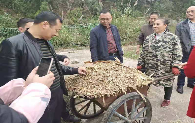 5fb5d18824045.png