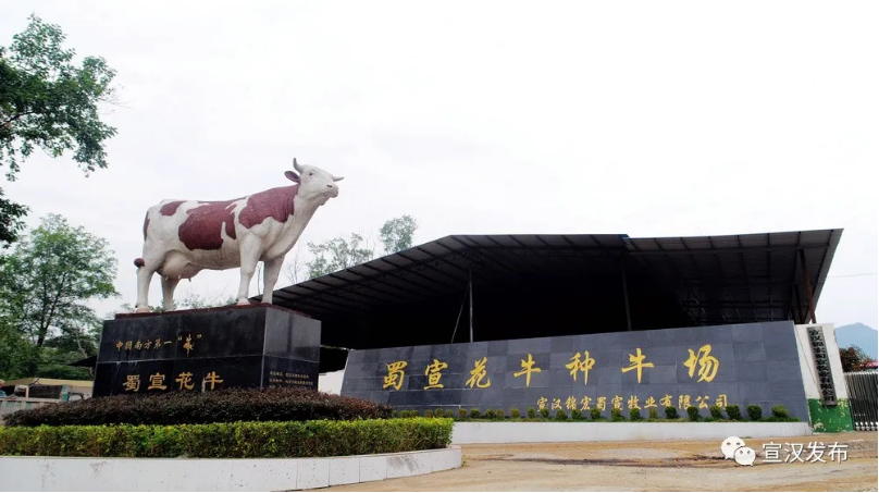 5fd6c31d67a27.png QQ圖片20201214094100.png