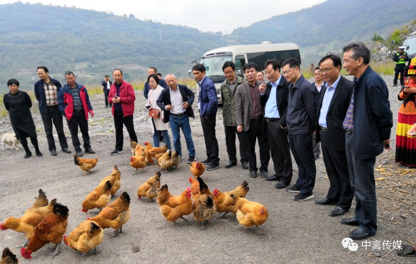 5ff41ecc21ffd.png QQ圖片20210105160338.png